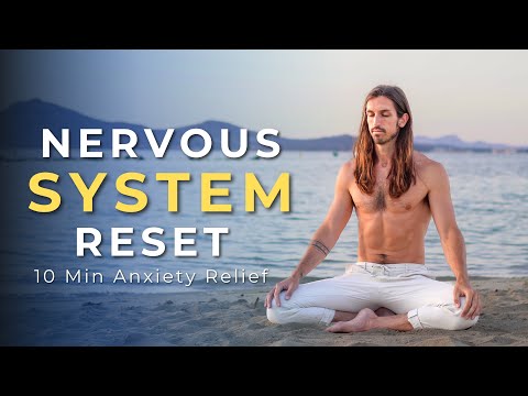 10 Minute Nervous System Reset | 20 Connected Breaths to Feel Grounded & Calm (Breathwork)