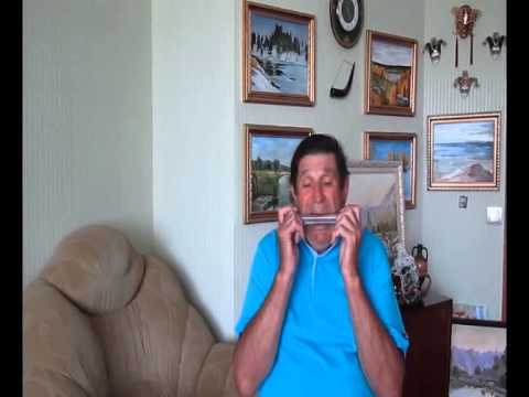 СТЕПЬ, ДА СТЕПЬ КРУГОМ_1-C.avi   www.garmonica2009.narod.ru