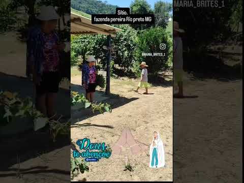 São Sebastião da Vargem alegre Minas gerais 