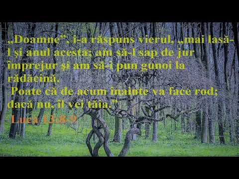 Dan Bercian - Ce Fel De Rod Vrea Dumnezeu De La Noi [ 2018 ]