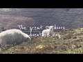 The Great Outdoors Adventure I E The Very Chaotic Vlog