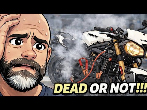 The Compression Test Revealed THIS… And Everything Changed!