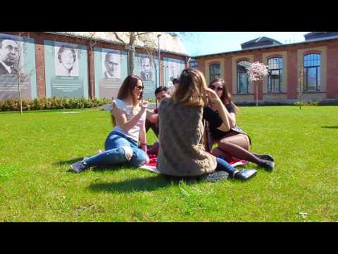 IBS life by Aruzhan Alimkhanova