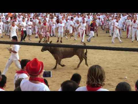 Man Jumping Over Bull