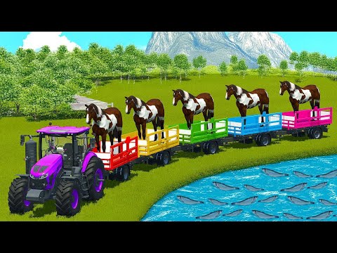 LOADING AND TRANSPORTING HORSES AND BALES WITH RIGITRAC TRACTORS - Farming Simulator 25