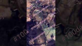 Vitamins V - Kristin Hersh Cover