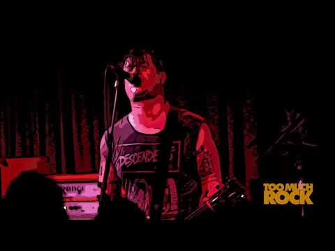 Theoretical Reality - Teenage Bottlerocket