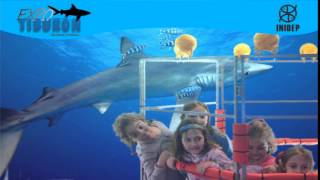 DIA 3 Expo Tiburon65