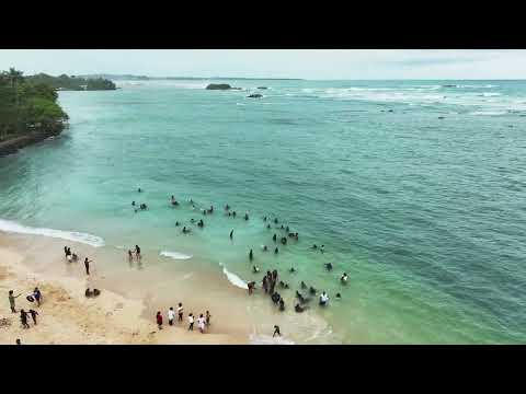 Polhena Beach, Matara