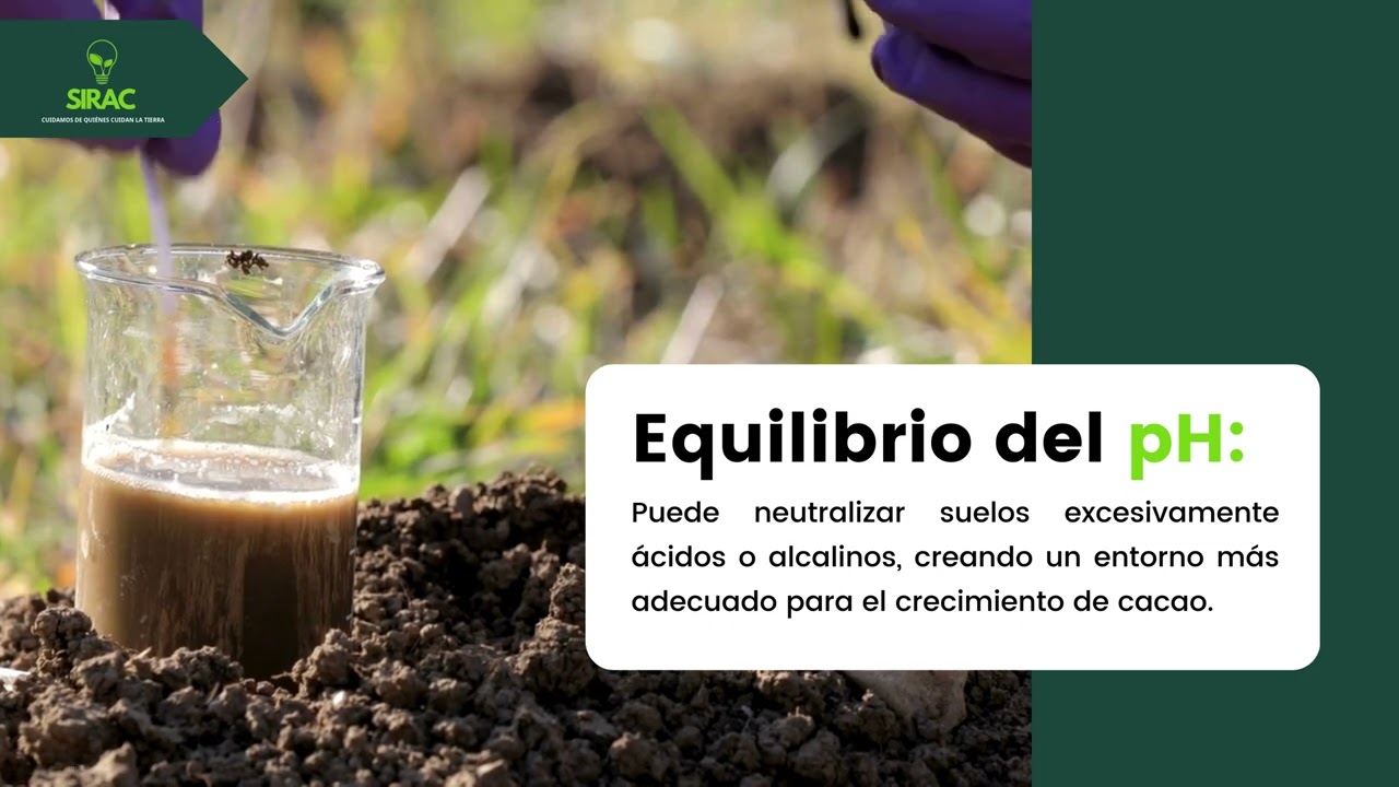 Uso del humus de lombriz - Cacao