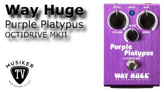 Video thumbnail for Way Huge Purple Platypus Octidrive MKII - Review by Musiker TV