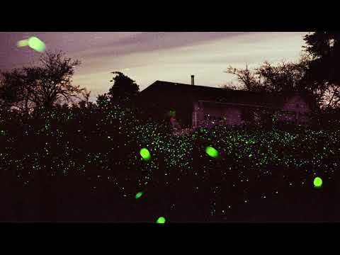 KA$TRO - ASHES [Official Lyric Video]