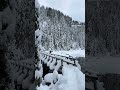 Epic Adventure Unleashed: Lake 22 Winter Hike Reveals Snow-Covered Wonderland!
