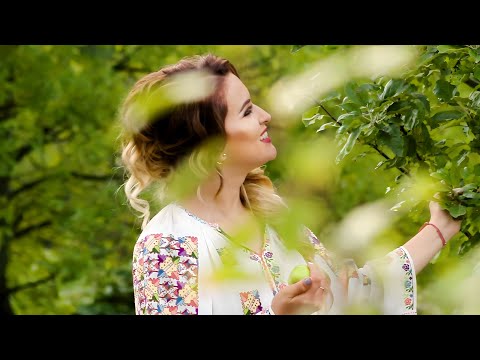 Ana Maria Oprisan - Unde-i vremea de altadata