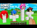 Giant Sonic and Friends Totem in minecraft - animations gameplay scooby craft FNF