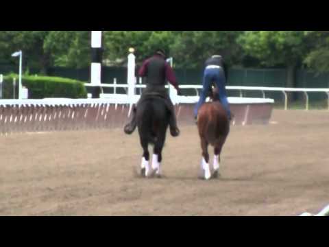 I'll Have Another at Belmont Park