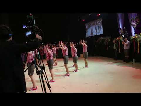 Bauernbundball Graz / Koglhofer Plattlermädels / Schuhplattler