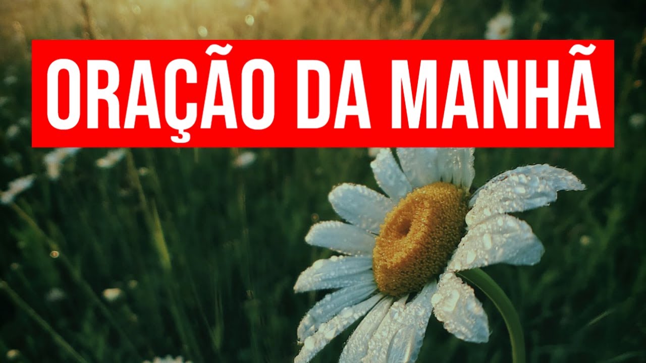 ORAÇÃO DA MANHÃ COM DINIZ VIEIRA
