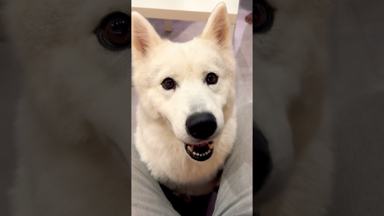 YouTube Short thumbnail