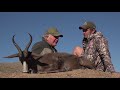 Black Springbok Hunt With Braeside Safaris