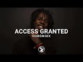 Chronixx Access Granted Lyrics Video