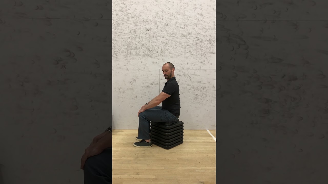Seated Cervical Rotation (Side View)