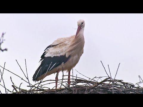 BuitenGewoon 6-09-2016 IJssel