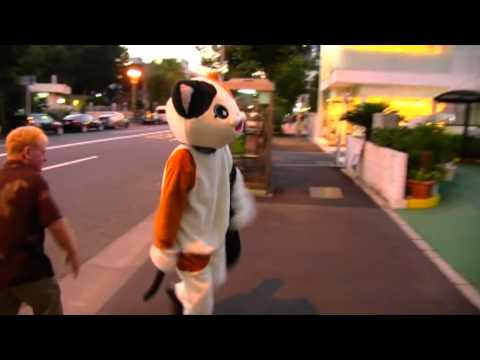 Atomic Cats (Talk Box with Guitar from Tokyo) P.V