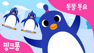 펭귄 댄스 | 동물동요 | 핑크퐁! 인기동요
