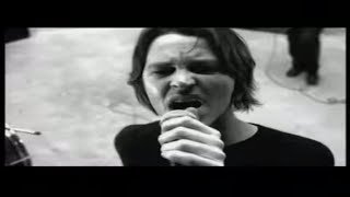 Powderfinger - Like A Dog