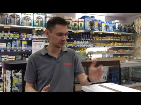 Watch Video on YouTube