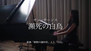 Download lagu ウィーンのバレエピアニスト 〜滝澤志野の音楽日記~最終回 「瀕死の白鳥」(サン=サーンス) mp3 Download lagu ウィーンのバレエピアニスト 〜滝澤志野の音楽日記~最終回 「瀕死の白鳥」(サン=サーンス) mp3