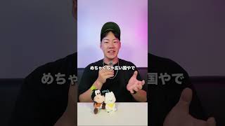 【緊急】フィリピン大地震によるフィリピン留学の影響は!?セブ島・バギオ・クラーク・ボラカイの状況を現地から速報