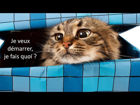Démarrer avec les ceintures de compétences