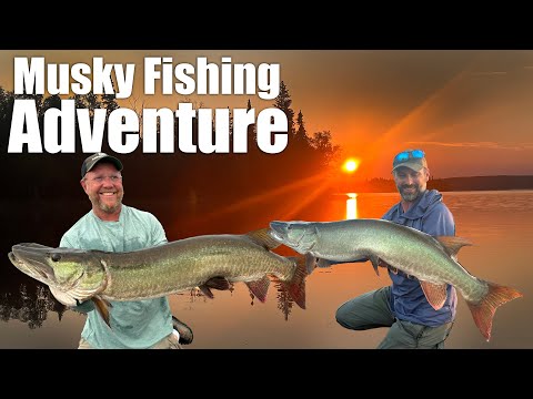 Monster Muskie Explodes on Topwater Lure at Lac Seul