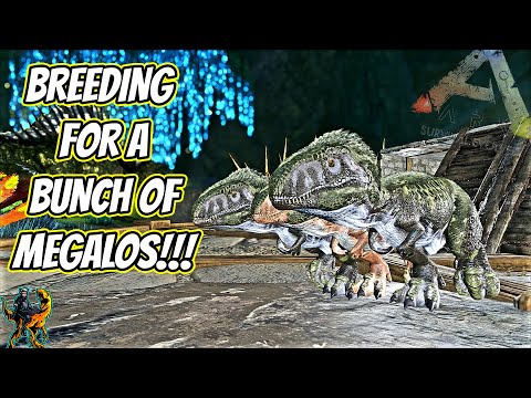MEGALOSAURUS BREEDING FRENZY And Getting My First MUTATION!! || Ark Story Unmodded!!