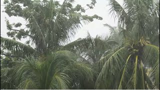 Fall asleep in less than 5 minutes in heavy rain, rain sounds for sleeping