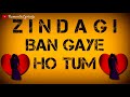 जिंदगी बन गये हो तुम Zindagi Ban Gaye Ho Tum زندگی بن گیے 