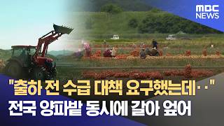 양파밭 갈아엎은 농민들 "최저 생산비 보장하라" (2026.05.15/뉴스데스크/MBC경남)