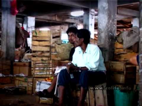 sora family One in christ