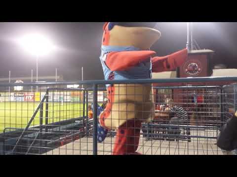 Ribby the Redband Trout