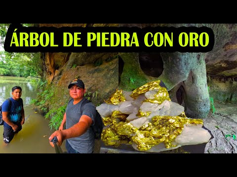 encontramos bosque fósil petrificado en puerto inca