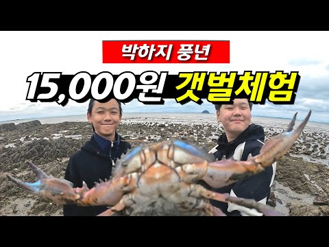 시화 방조제 여행: 가족과 함께하는 특별한 체험