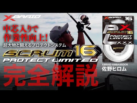 SCRUM16 PROTECT LIMITED 完全解説