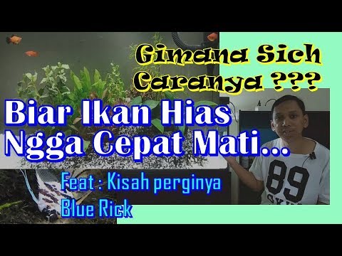 Makan sebelum atau setelah latihan untuk menurunkan berat badan Menurunkan berat badan jika dari Kars