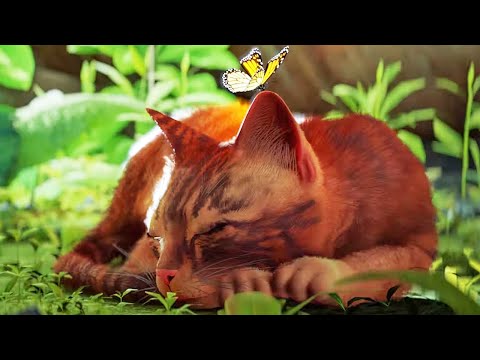 Stray - Ending Scene 4K