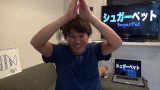 【シュガーペット＃22】ペットを可愛く撮るコツは？