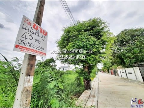 ขายที่ดินเปล่า ย่าน ถนอมมิตร ท่าแร้ง วัชรพล สุขาภิบาล 5, ใกล้ รร.สายอักษร 🌳รามอินทรา 65 แยก 2-6 ซ.บุรุษพัฒน์ 6 : 43 ตร.วา (NN-91159) – รูปที่ 2