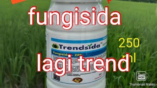 Download lagu fungisida TRENDSIDA 325 sc lagi ngetren/ fungisida untuk tanaman padi/ fungisida untuk tanaman cabe mp3 Download lagu fungisida TRENDSIDA 325 sc lagi ngetren/ fungisida untuk tanaman padi/ fungisida untuk tanaman cabe mp3