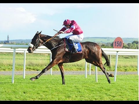 Monbeg Worldwide - Rosscommon NHF/Bumper Race (17/10/16)